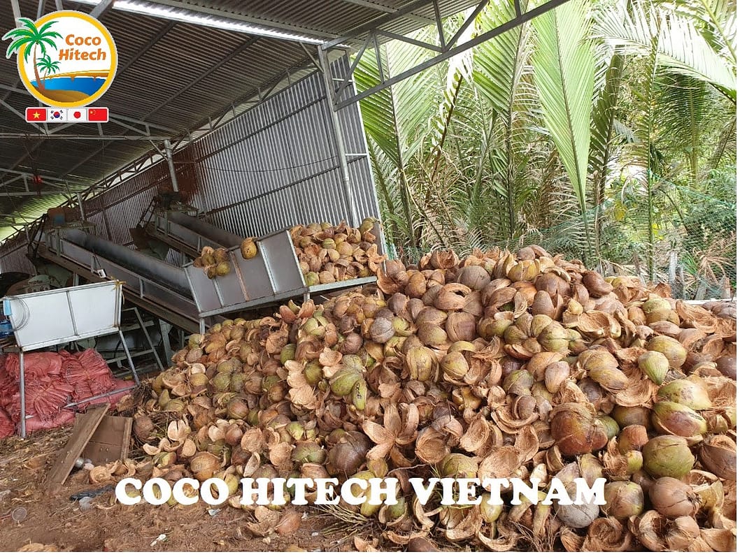 코코넛 껍질