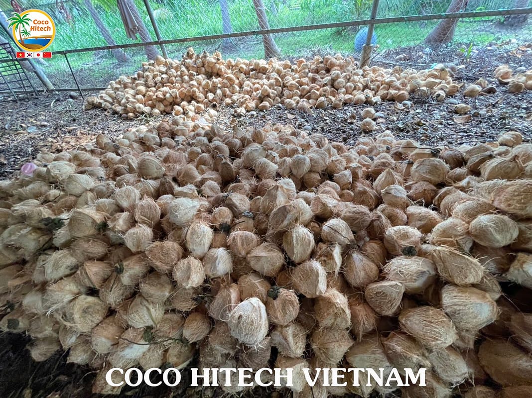 코코넛 껍질 원료 대비