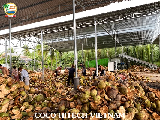 코코하이텍 코코넛 원자재
