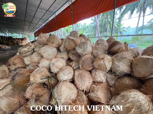 베트남 코코넛 원료